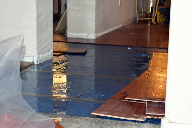 Professional Sewage Cleanup technician working in Celeste, TX